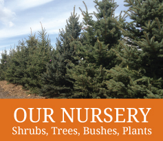 South Park Wholesale Nursery and Landscaping in Jackson Hole, Wyoming