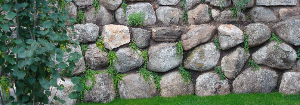Paving Stone Landscape Design